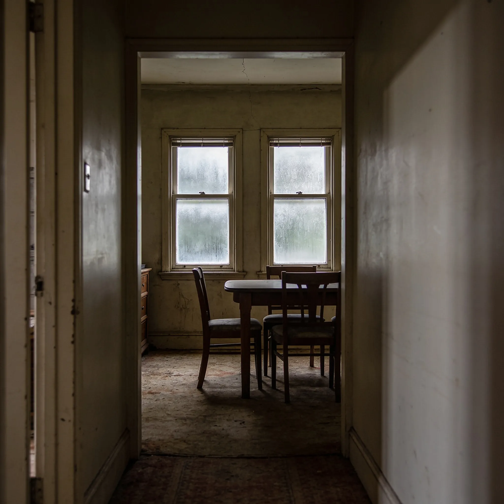 A Dining Room Brought Back to Light — before